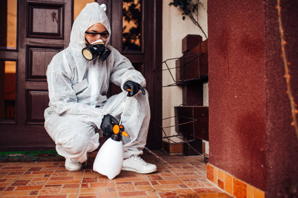 Reliable Cockroach Control contractor in Pine Hill, NJ by Nex Pest Control